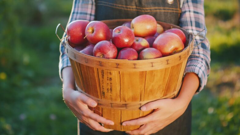 Food Farmer Ty i Twój Dom