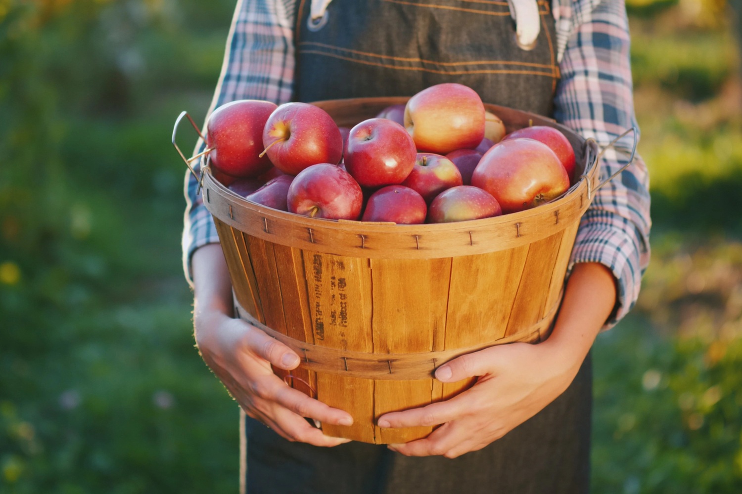 Food Farmer Ty i Twój Dom
